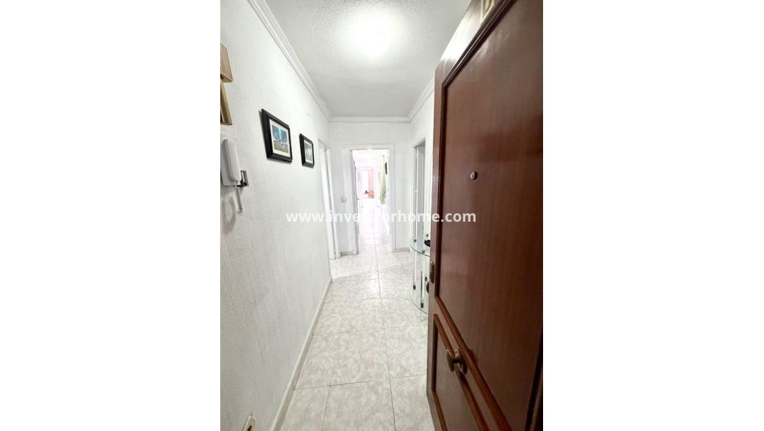 Reventa - Apartamento - Torrevieja - Costa Blanca