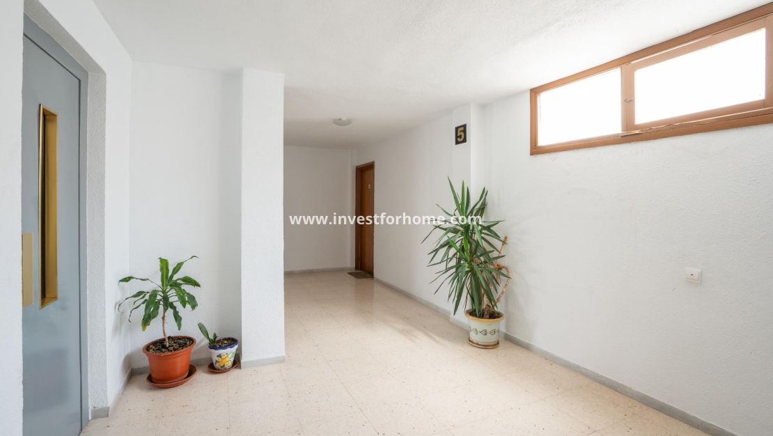 Reventa - Apartamento - Torrevieja - El Acequión - Los Náufragos