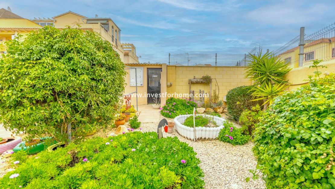 Reventa - Apartamento - Torrevieja - El Chaparral