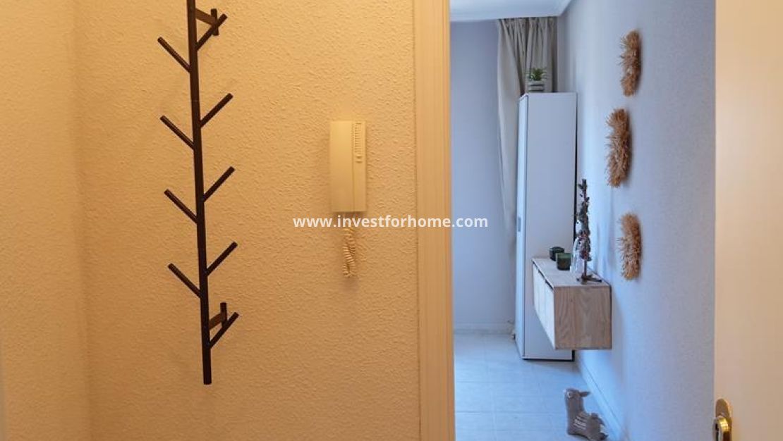Reventa - Apartamento - Torrevieja - El Molino