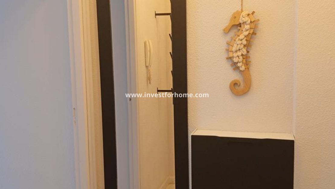 Reventa - Apartamento - Torrevieja - El Molino