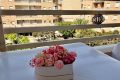 Reventa - Apartamento - Torrevieja - El Molino