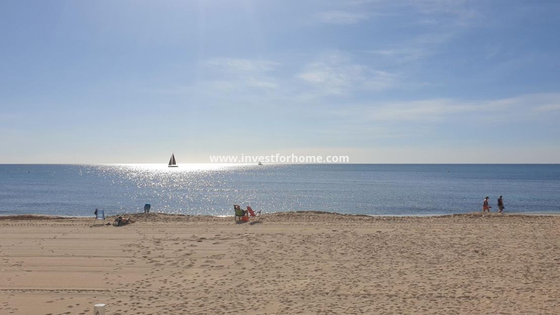 Reventa - Apartamento - Torrevieja - Estacion De Autobuses