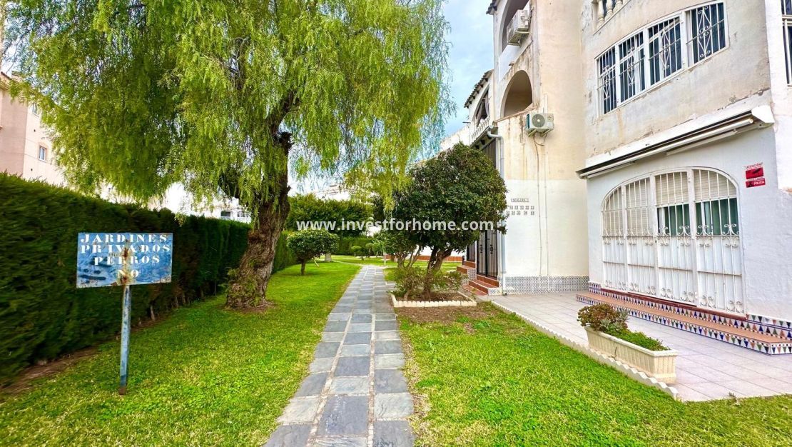 Reventa - Apartamento - Torrevieja - Estacion De Autobuses