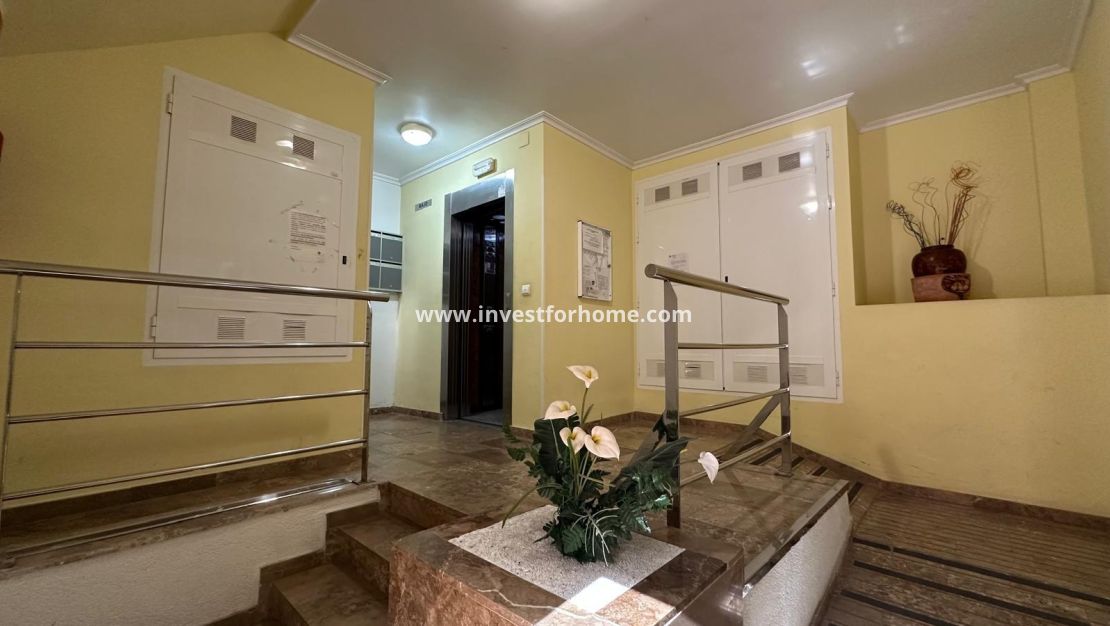 Reventa - Apartamento - Torrevieja - Estacion De Autobuses