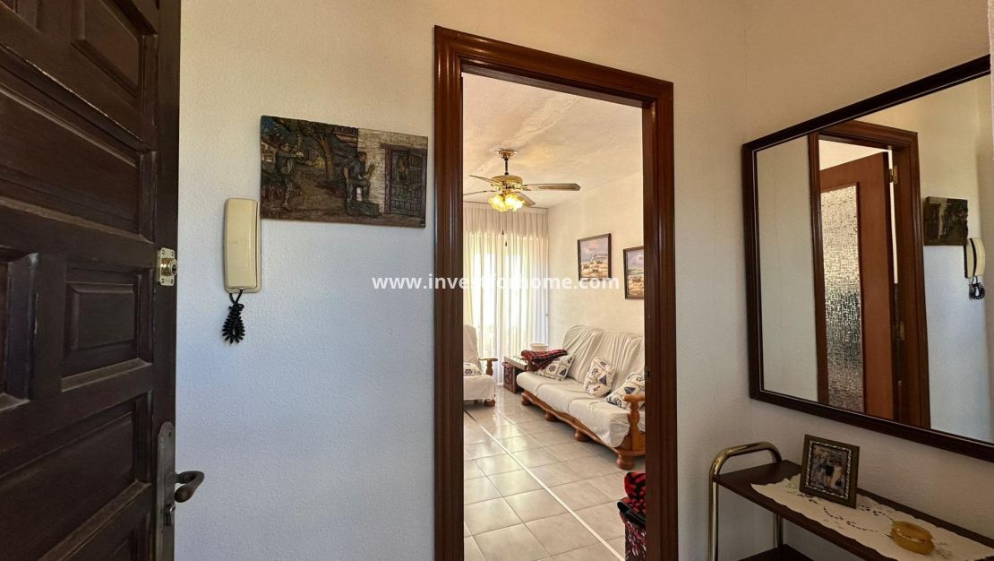 Reventa - Apartamento - Torrevieja - Estacion De Autobuses