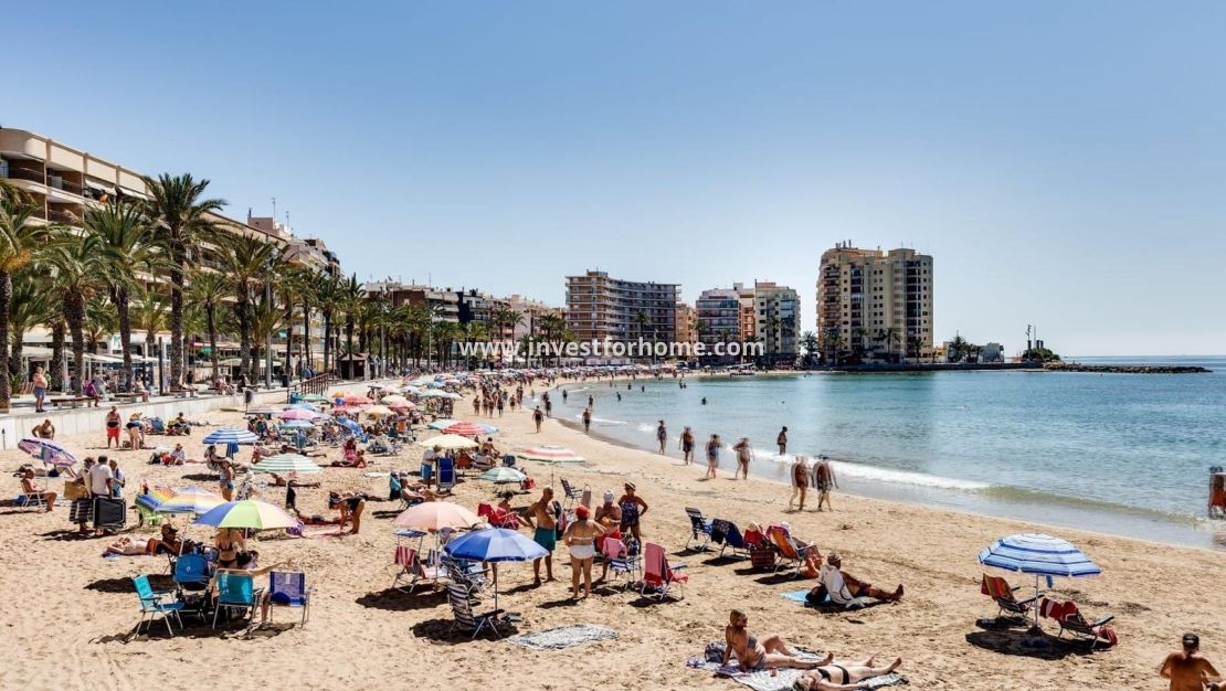 Reventa - Apartamento - Torrevieja - Estacion De Autobuses