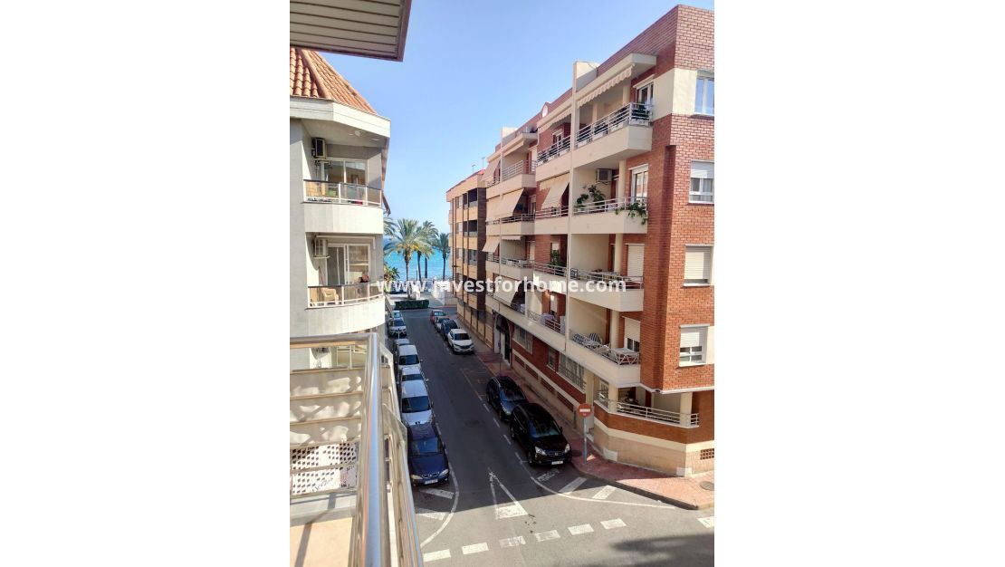 Reventa - Apartamento - Torrevieja - Estacion De Autobuses