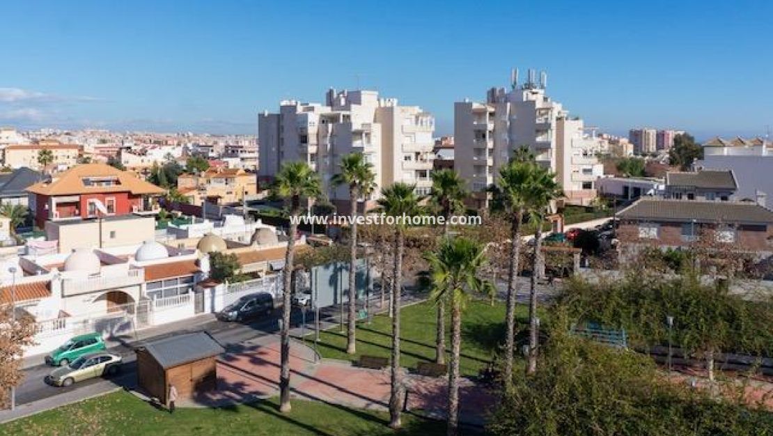 Reventa - Apartamento - Torrevieja - Estacion De Autobuses