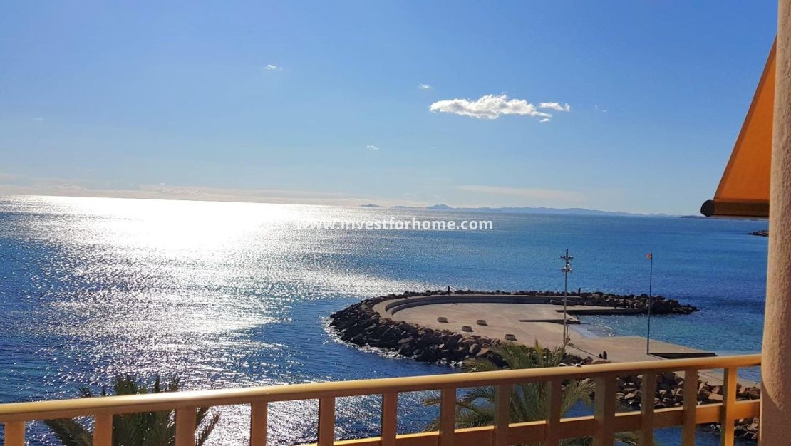 Reventa - Apartamento - Torrevieja - Estacion De Autobuses