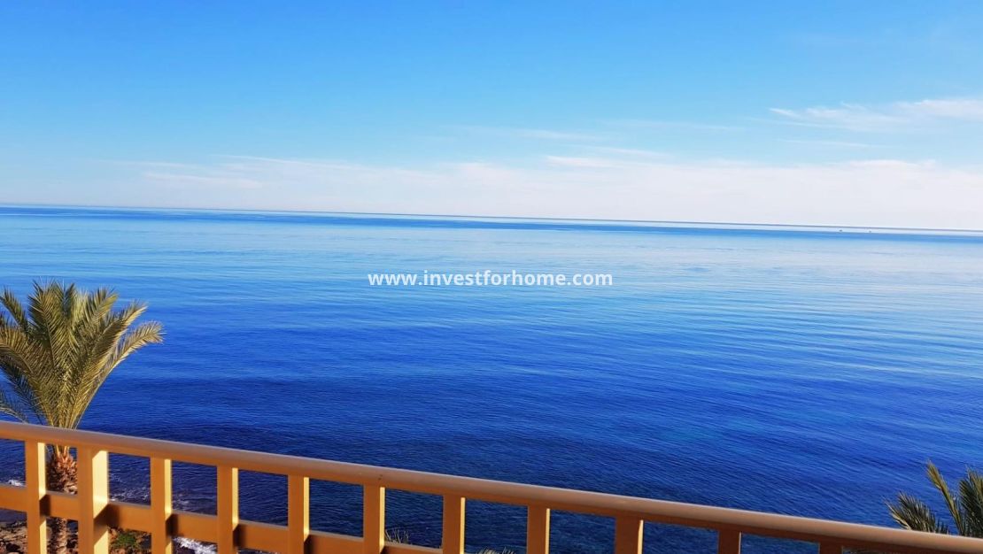 Reventa - Apartamento - Torrevieja - Estacion De Autobuses