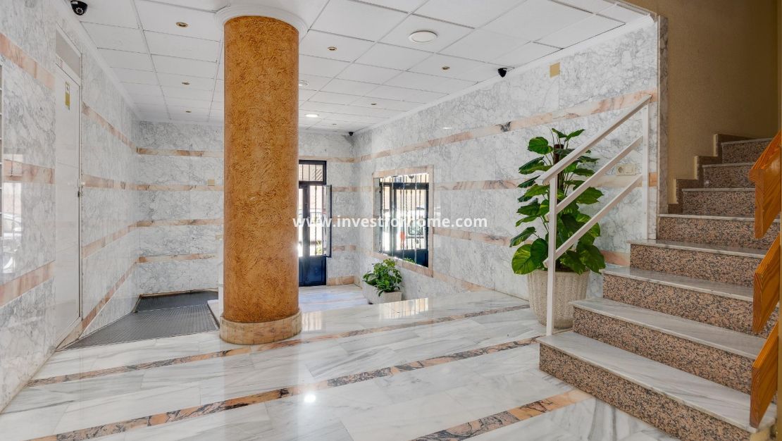 Reventa - Apartamento - Torrevieja - Estacion De Autobuses