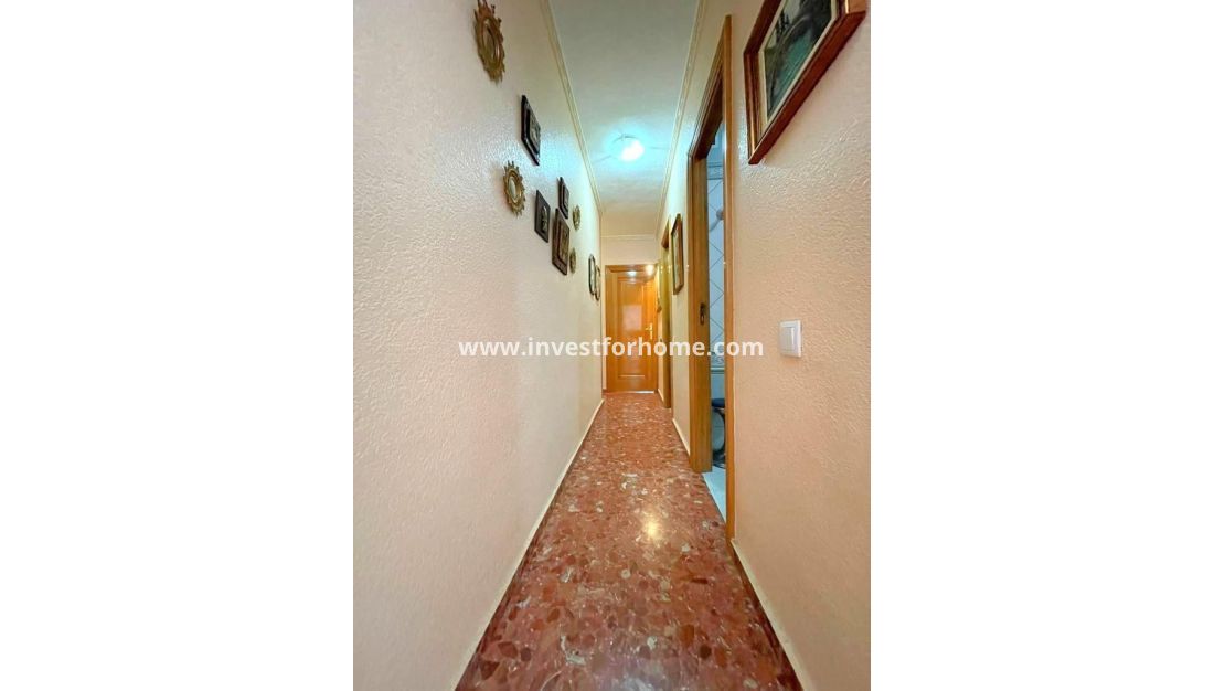 Reventa - Apartamento - Torrevieja - Estacion De Autobuses