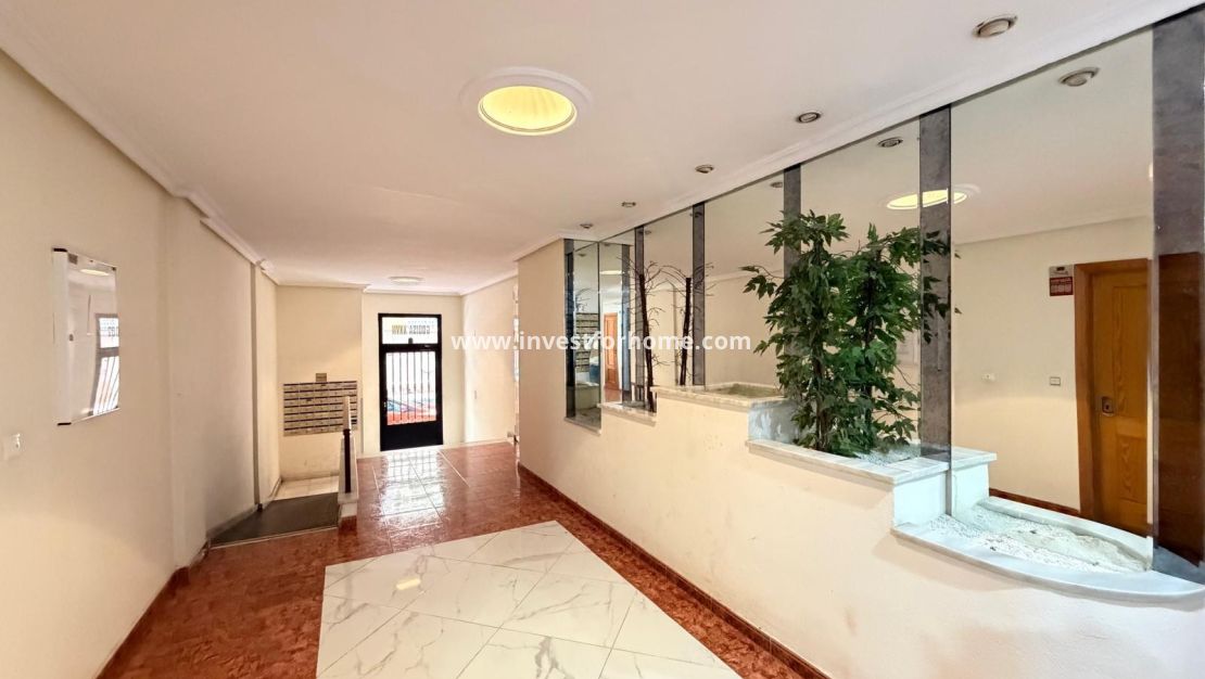 Reventa - Apartamento - Torrevieja - Estacion De Autobuses