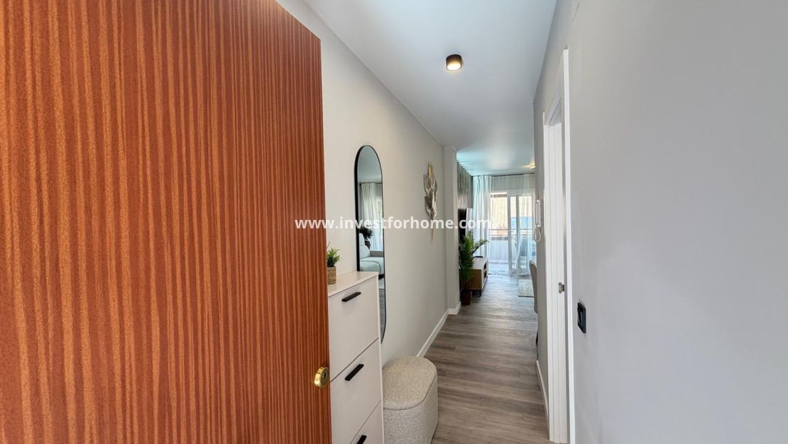 Reventa - Apartamento - Torrevieja - Estacion De Autobuses