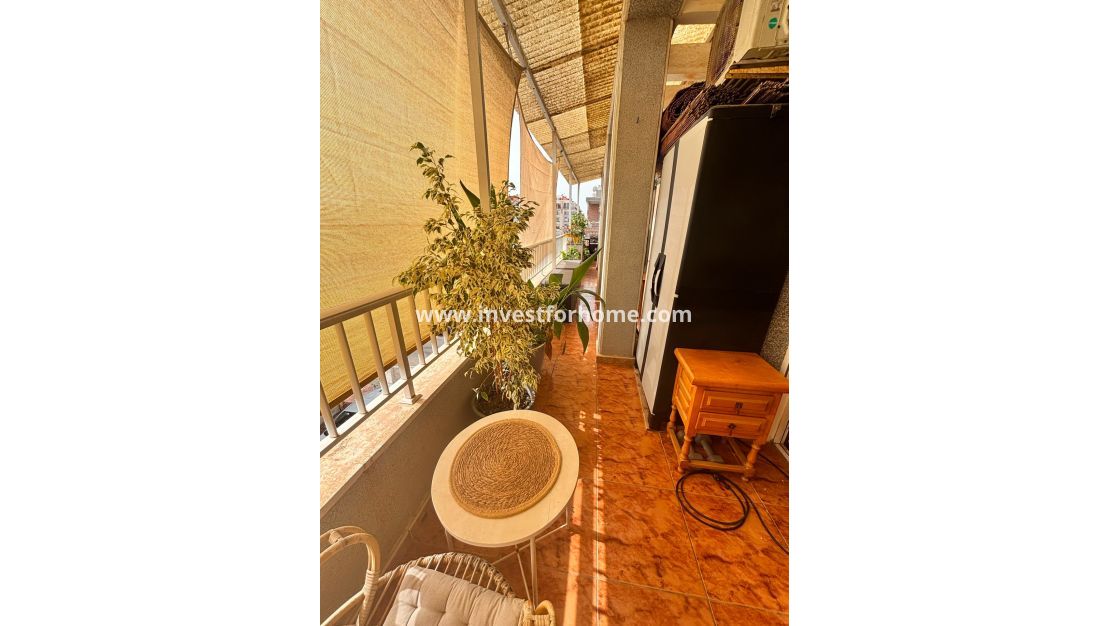 Reventa - Apartamento - Torrevieja - Estacion De Autobuses