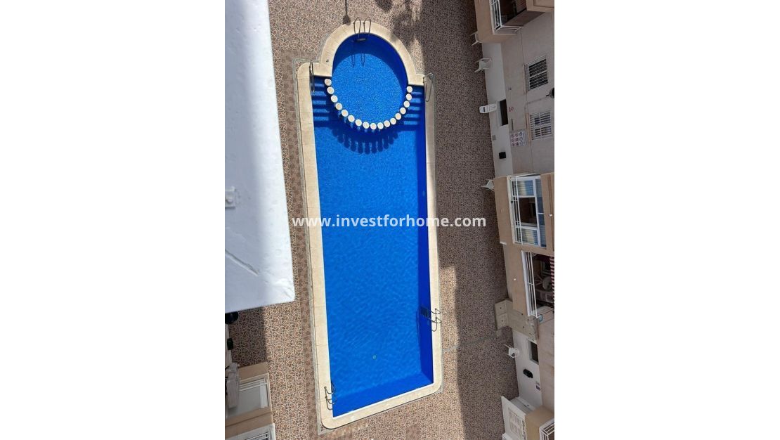 Reventa - Apartamento - Torrevieja - Estacion De Autobuses