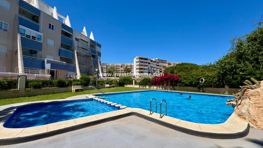 Reventa - Apartamento - Torrevieja - Gaspar Perrelló