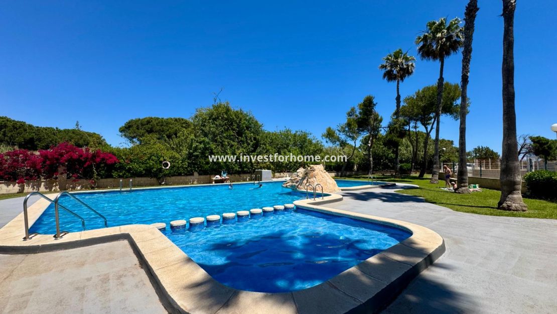 Reventa - Apartamento - Torrevieja - Gaspar Perrelló