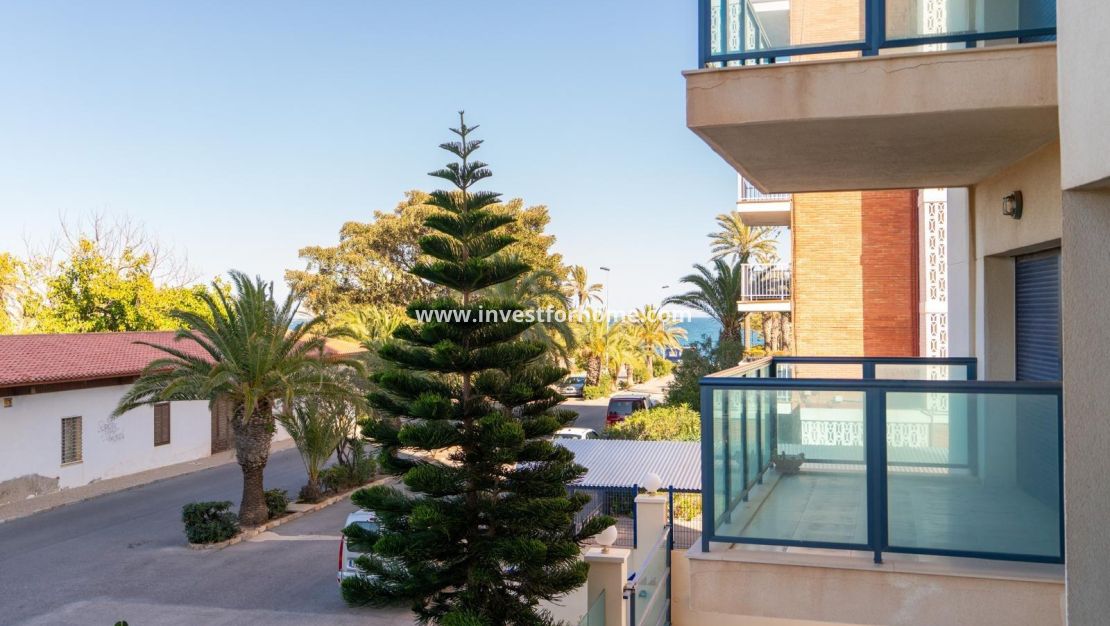 Reventa - Apartamento - Torrevieja - La Veleta