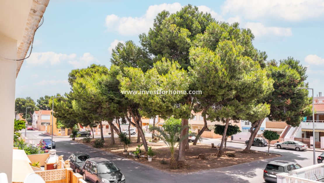 Reventa - Apartamento - Torrevieja - La Veleta