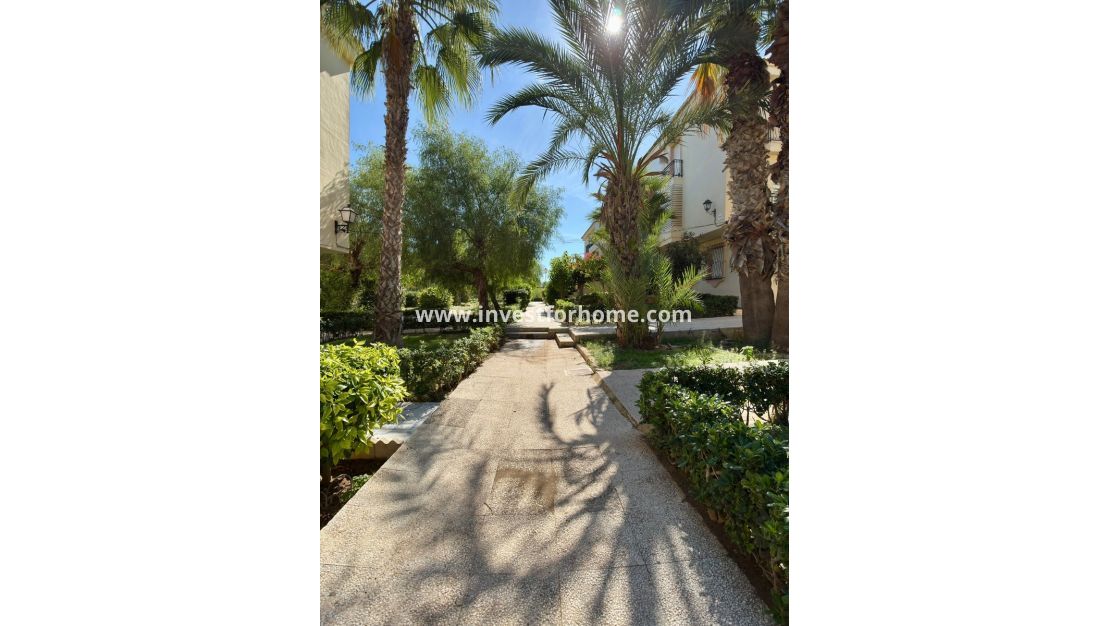 Reventa - Apartamento - Torrevieja - La veleta