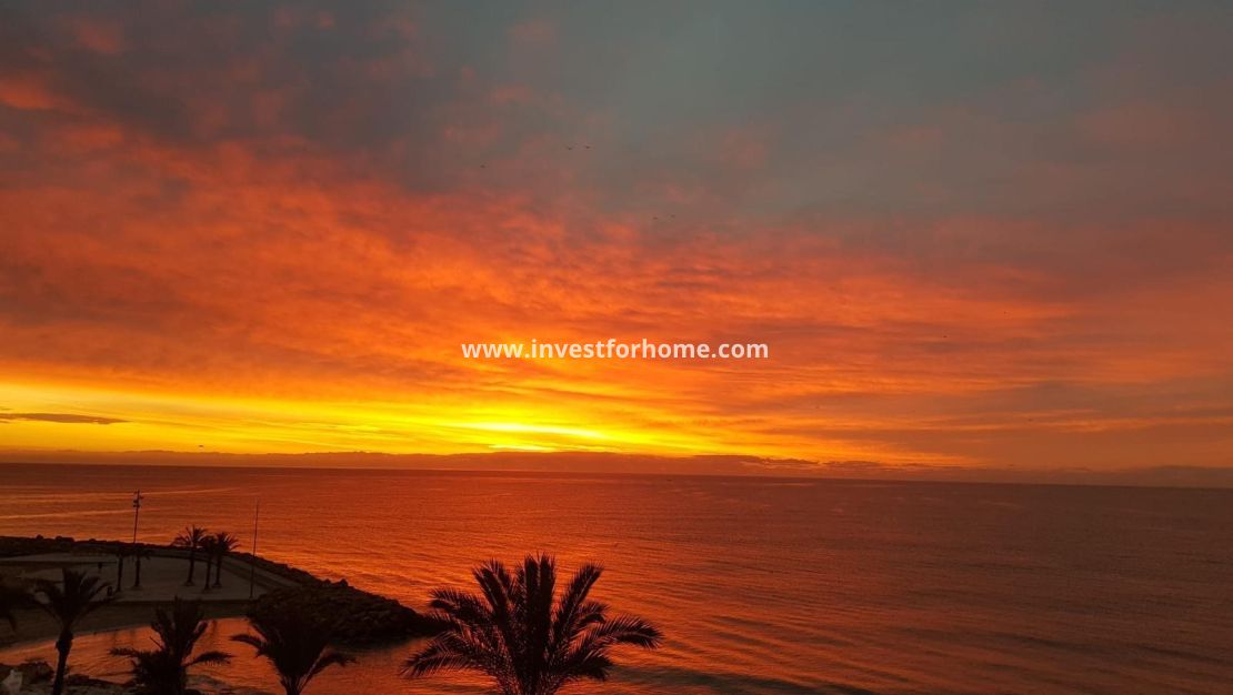 Reventa - Apartamento - Torrevieja - Las Piscinas Naturales