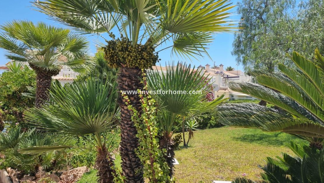 Reventa - Apartamento - Torrevieja - Los Balcones - Los Altos Del Edén