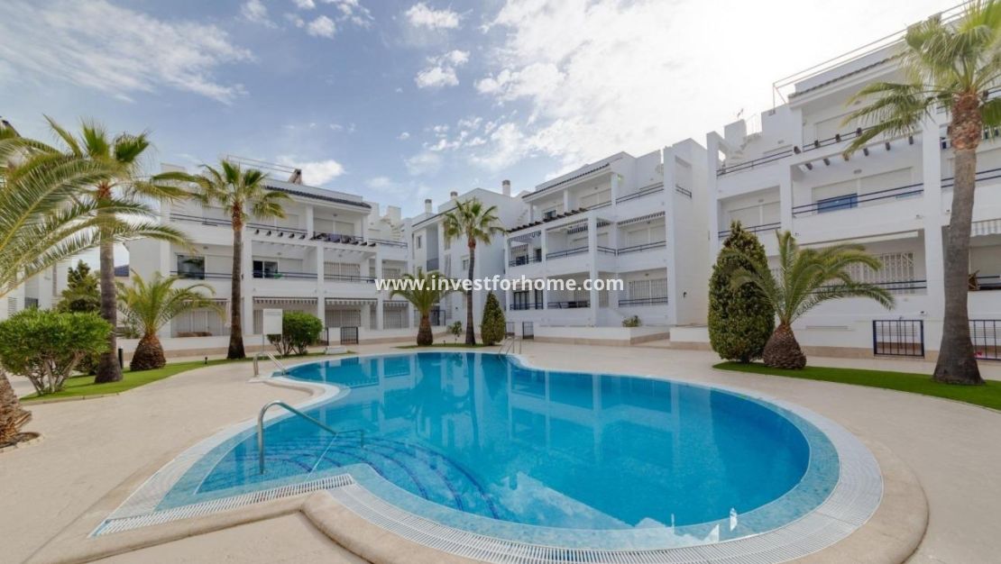 Reventa - Apartamento - Torrevieja - Los Balcones - Los Altos Del Edén