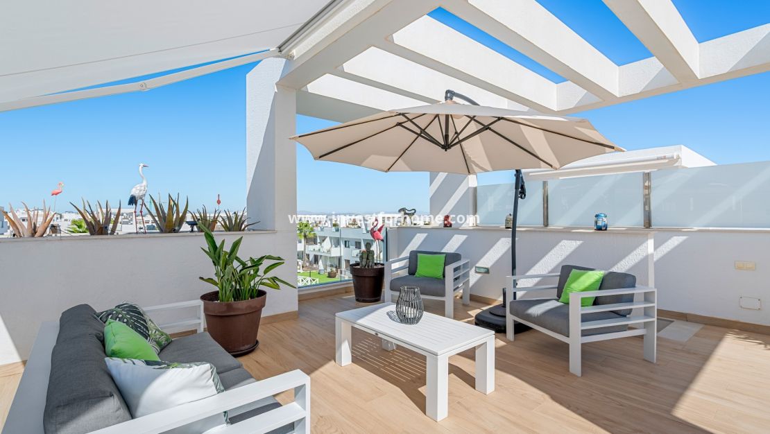 Reventa - Apartamento - Torrevieja - Los Balcones