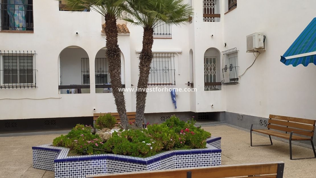 Reventa - Apartamento - Torrevieja - LOS NAUFRAGOS PLAYA