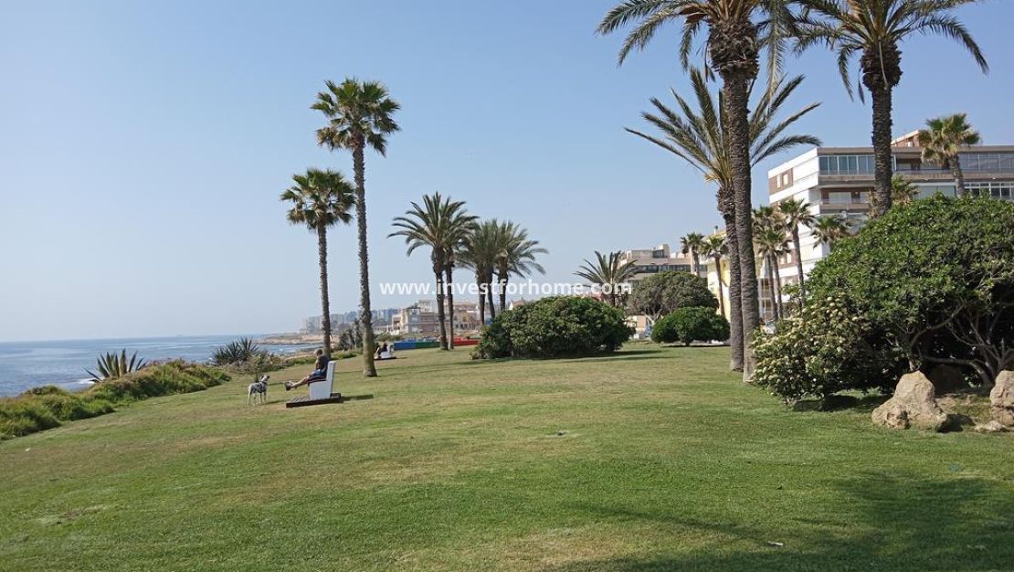 Reventa - Apartamento - Torrevieja - MAR AZUL LA VELETA