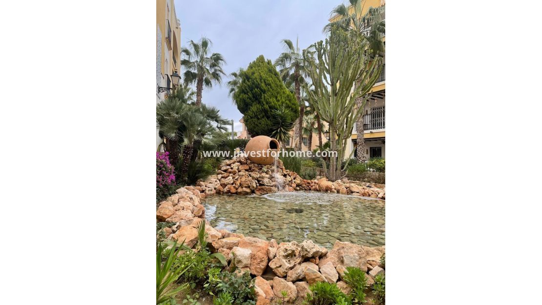 Reventa - Apartamento - Torrevieja - Nueva Torrevieja - Aguas Nuevas