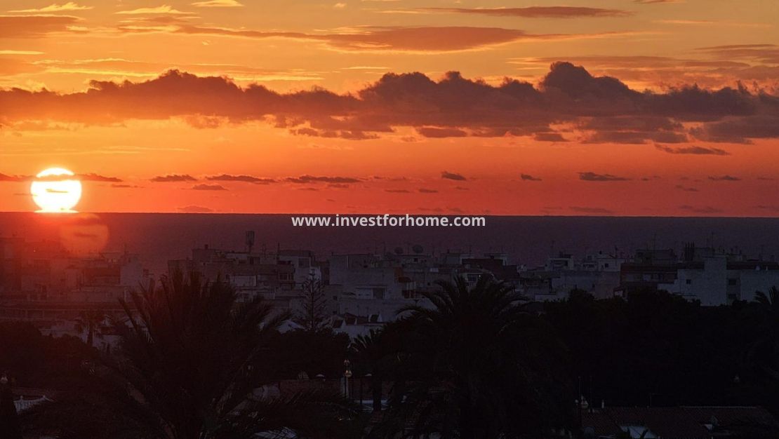 Reventa - Apartamento - Torrevieja - Nueva Torrevieja - Aguas Nuevas