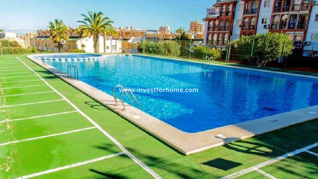 Reventa - Apartamento - Torrevieja - Nueva Torrevieja - Aguas Nuevas