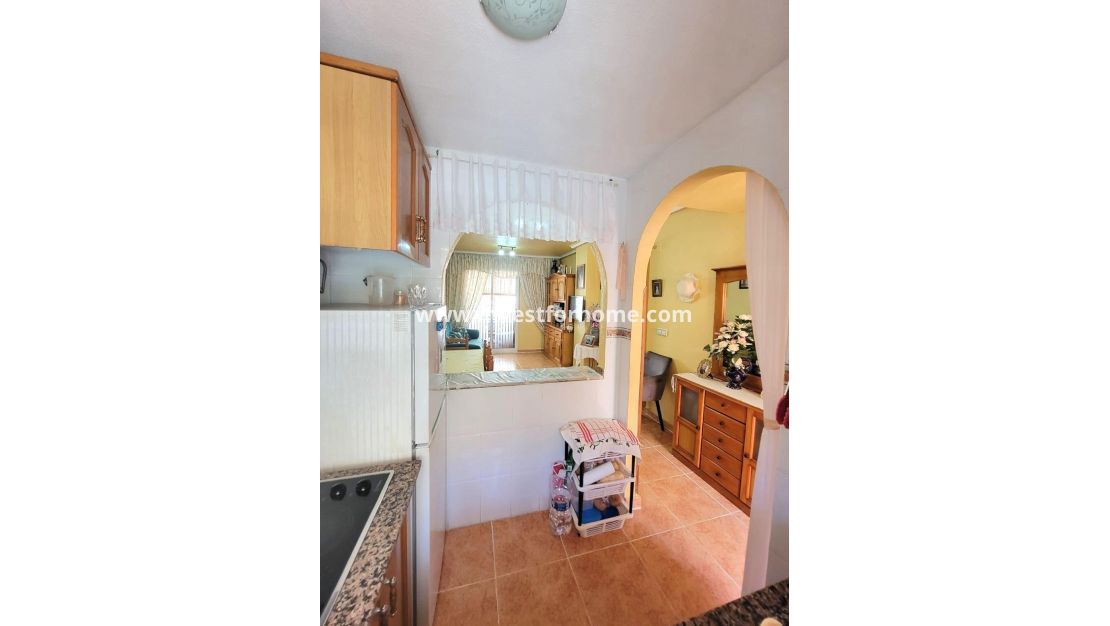 Reventa - Apartamento - Torrevieja - Nueva Torrevieja - Aguas Nuevas