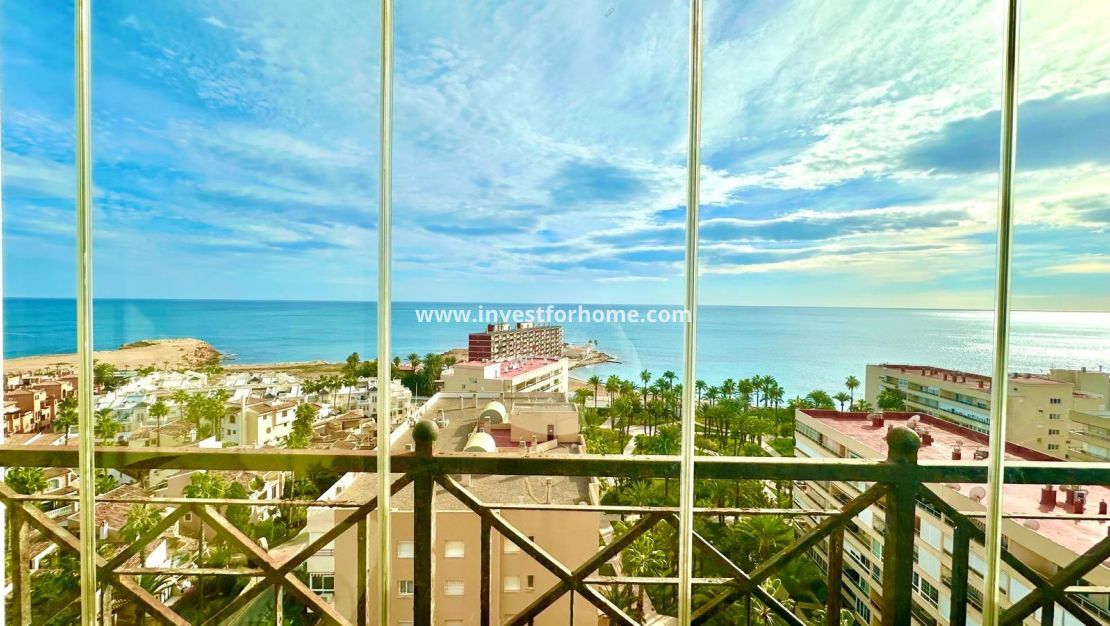 Reventa - Apartamento - Torrevieja - Nueva Torrevieja - Aguas Nuevas