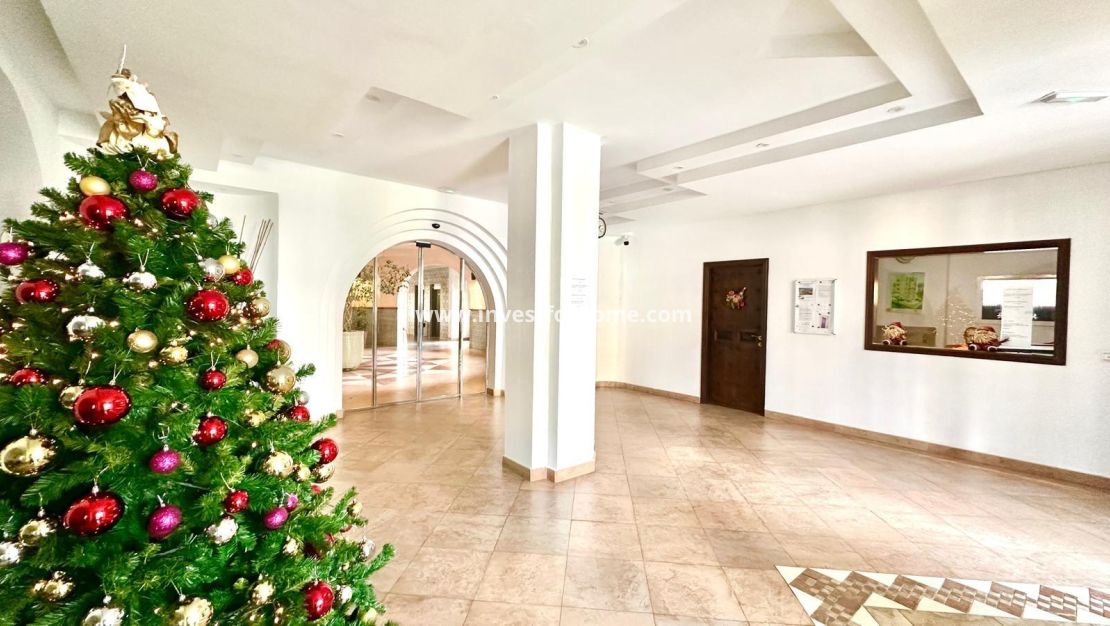 Reventa - Apartamento - Torrevieja - Nueva Torrevieja - Aguas Nuevas