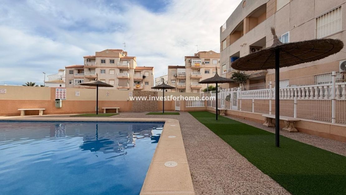 Reventa - Apartamento - Torrevieja - Nueva Torrevieja - Aguas Nuevas