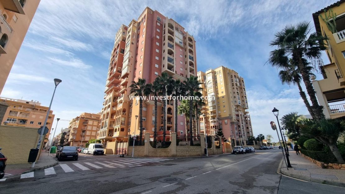 Reventa - Apartamento - Torrevieja - Nueva Torrevieja - Aguas Nuevas