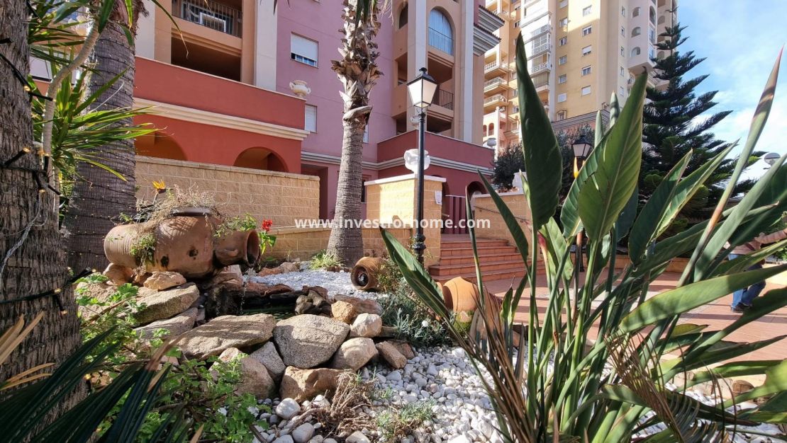 Reventa - Apartamento - Torrevieja - Nueva Torrevieja - Aguas Nuevas