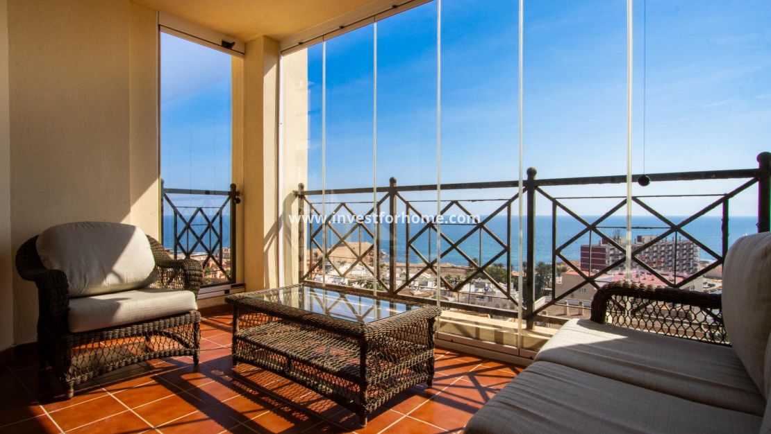 Reventa - Apartamento - Torrevieja - Nueva Torrevieja - Aguas Nuevas