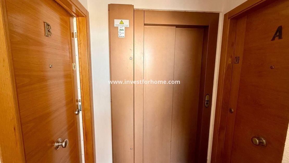 Reventa - Apartamento - Torrevieja - Nueva Torrevieja - Aguas Nuevas