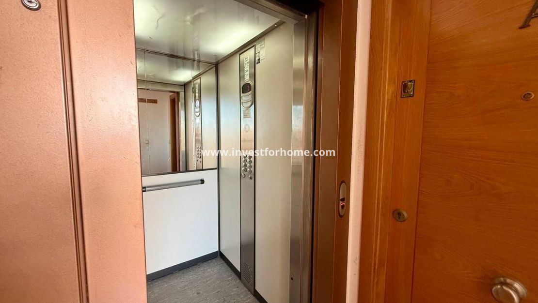 Reventa - Apartamento - Torrevieja - Nueva Torrevieja - Aguas Nuevas