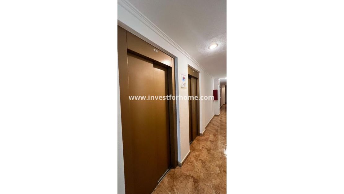 Reventa - Apartamento - Torrevieja - PARQUE DE LAS NACIONES