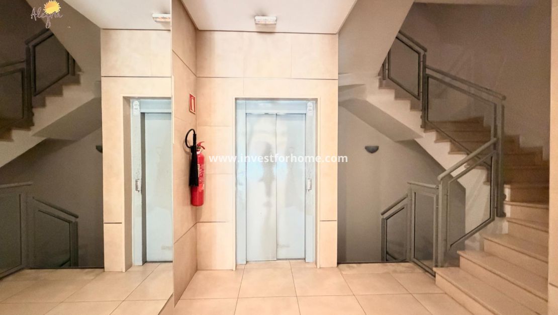 Reventa - Apartamento - Torrevieja - PARQUE DE LAS NACIONES