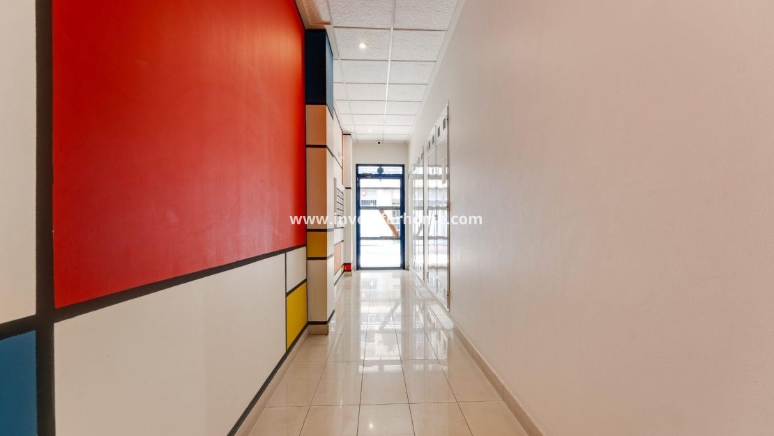 Reventa - Apartamento - Torrevieja - PARQUE DE LAS NACIONES