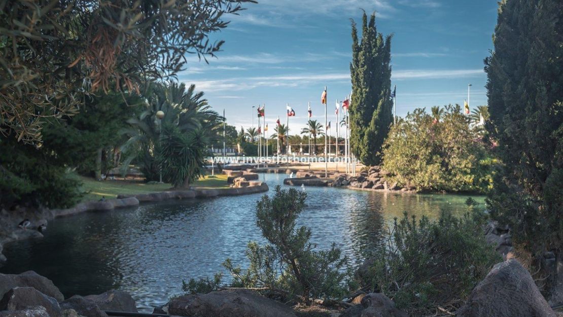 Reventa - Apartamento - Torrevieja - Parque Las Naciones