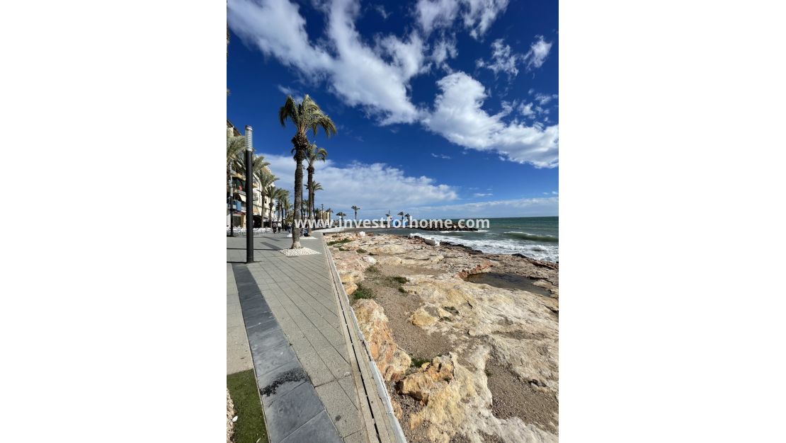 Reventa - Apartamento - Torrevieja - Playa de cura
