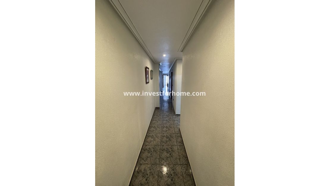 Reventa - Apartamento - Torrevieja - Playa de cura